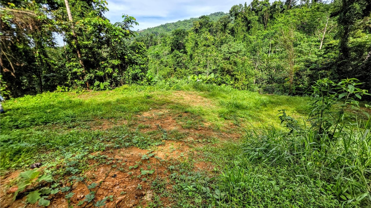 Rainforest Waterfall Acreage Estate, Dominical, Puntarenas