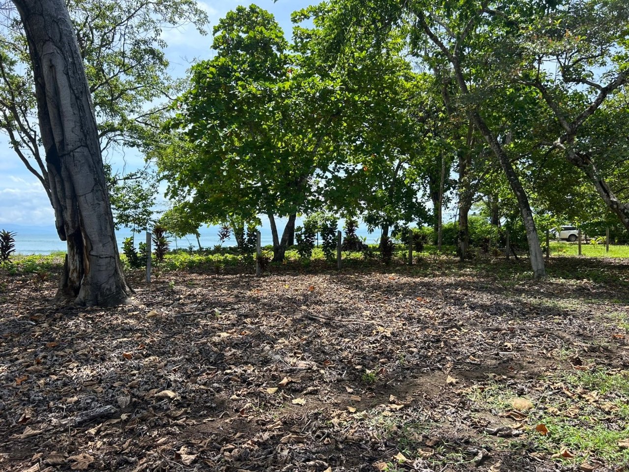 Titled Beachfront Development Land, Osa, Puntarenas
