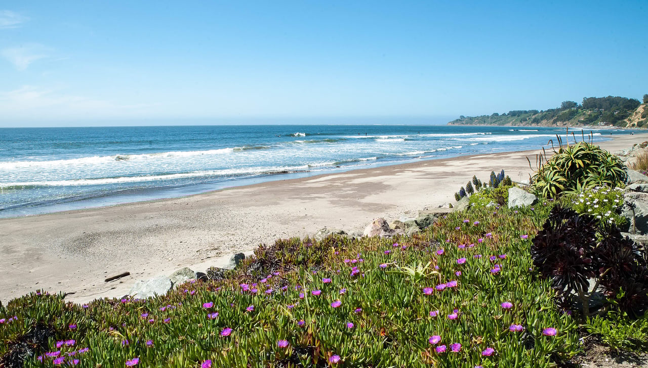 Marin Community and Real Estate Market Report - 7/21/20