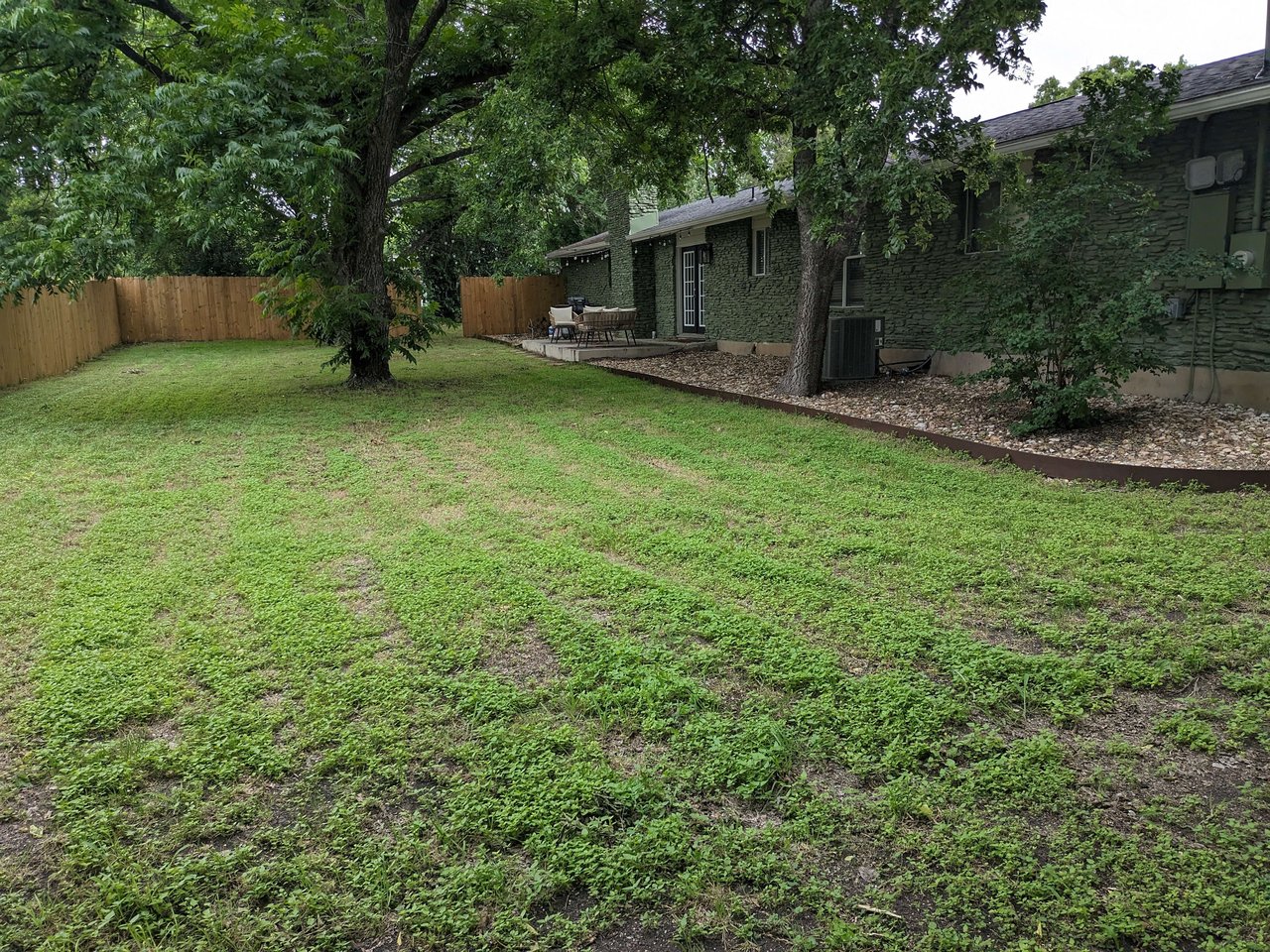 Dog friendly mid-century 1-story home near Domain
