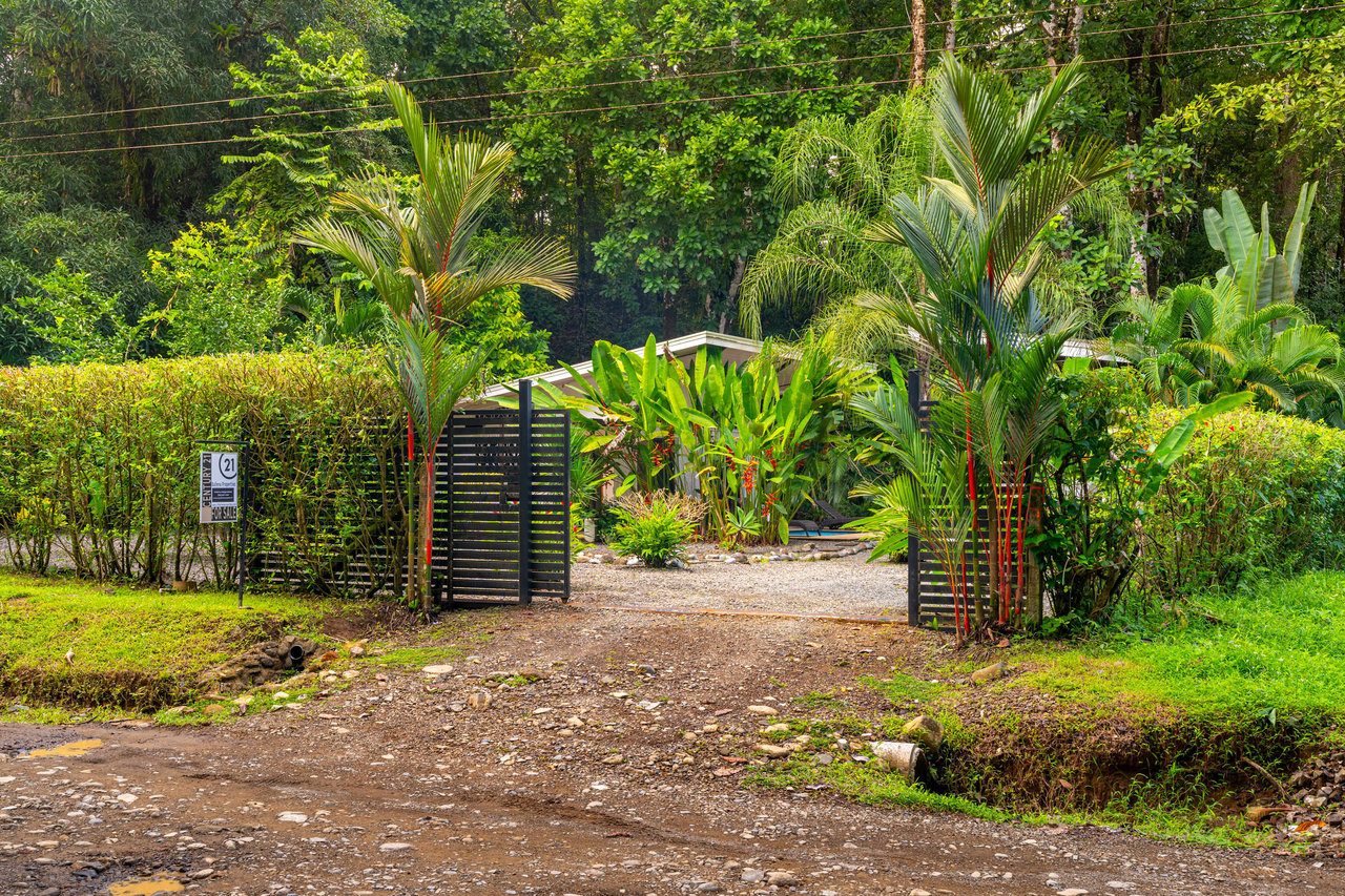 Coastal Canopy Retreat
