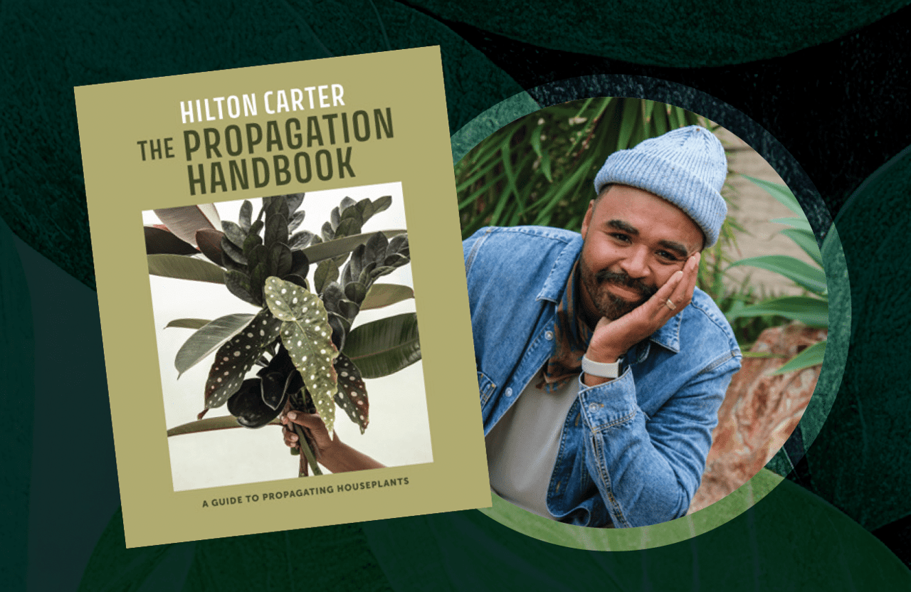 Q & A with House Plant Expert Hilton Carter