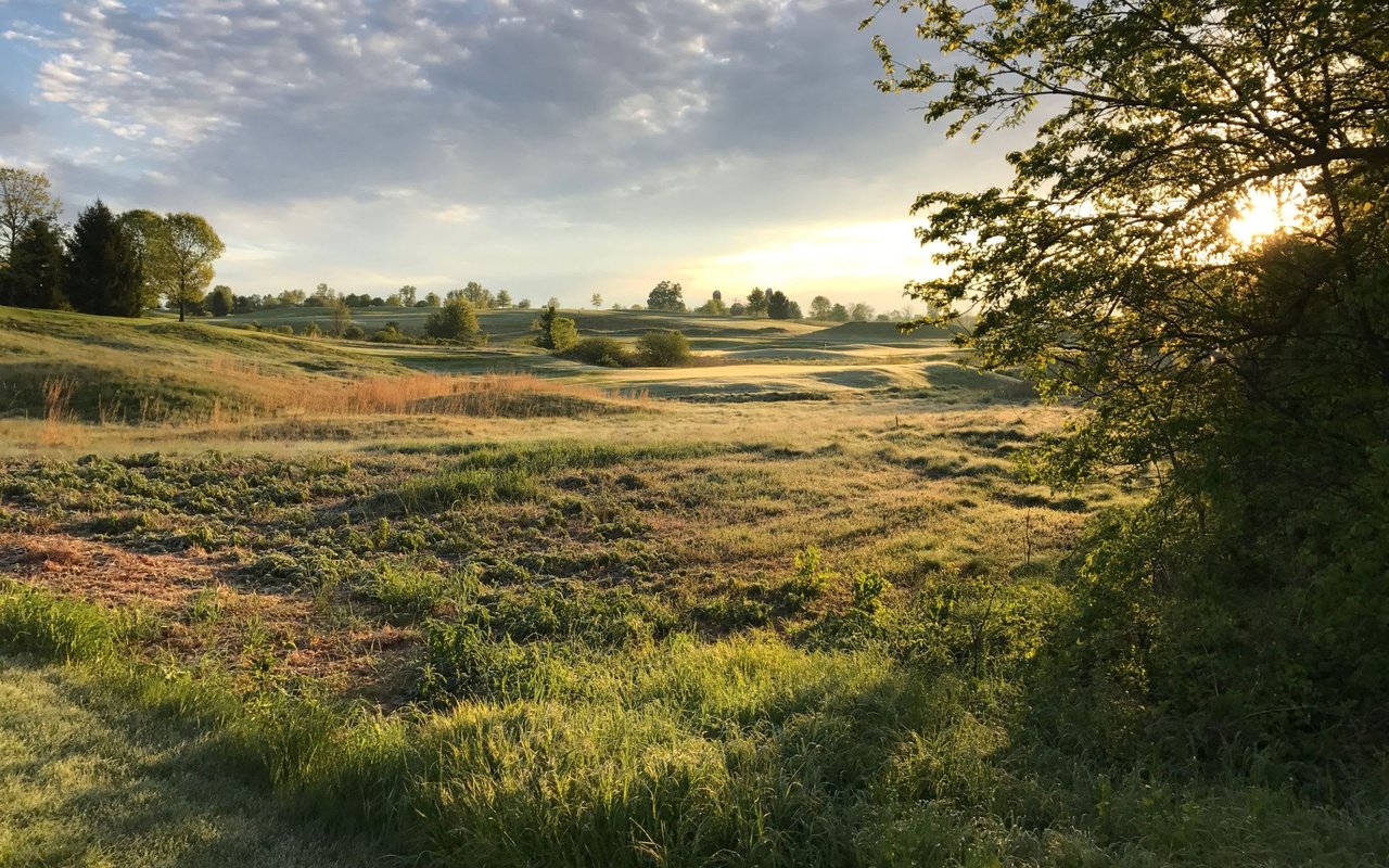 Franklin TN Market Data