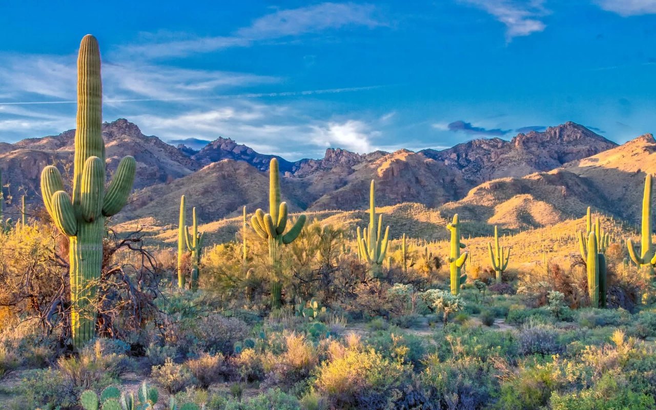 Catalina Foothills