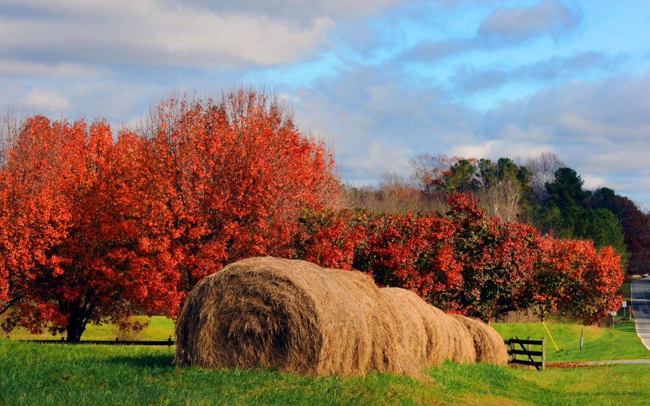 Chatham County