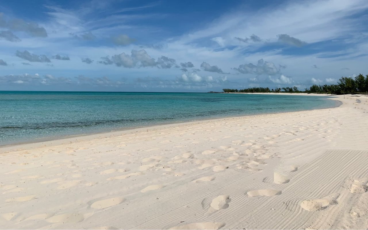 Discover the Best Beaches in the Tampa Bay Area