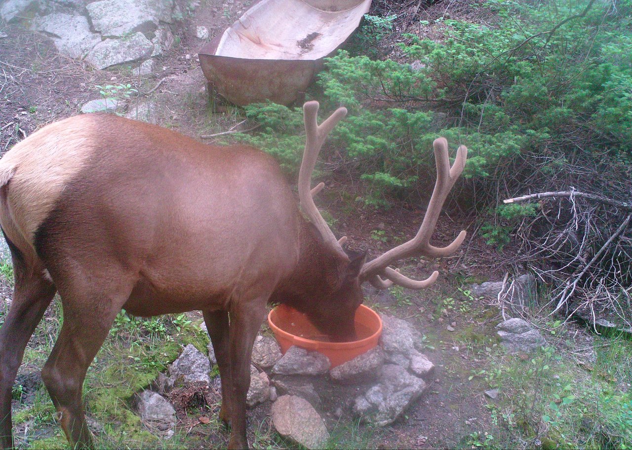 Elk Mountain Ranch