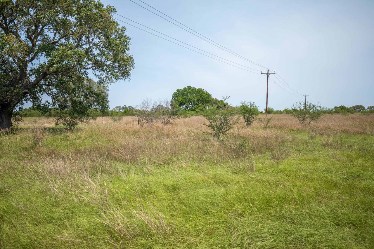 Green DeWitt Rd | 40.82± Acres | DeWitt County