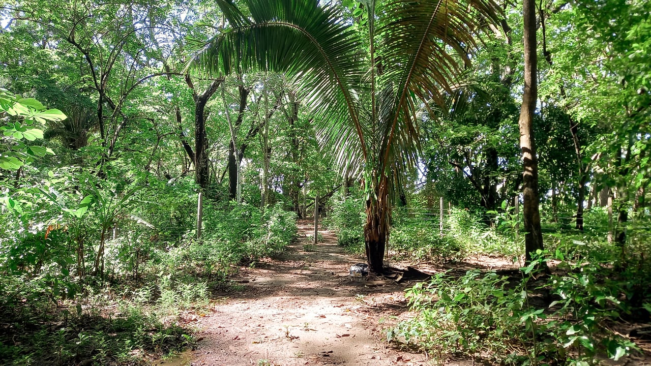 Beachfront Development Acreage, Santa Teresa, Puntarenas