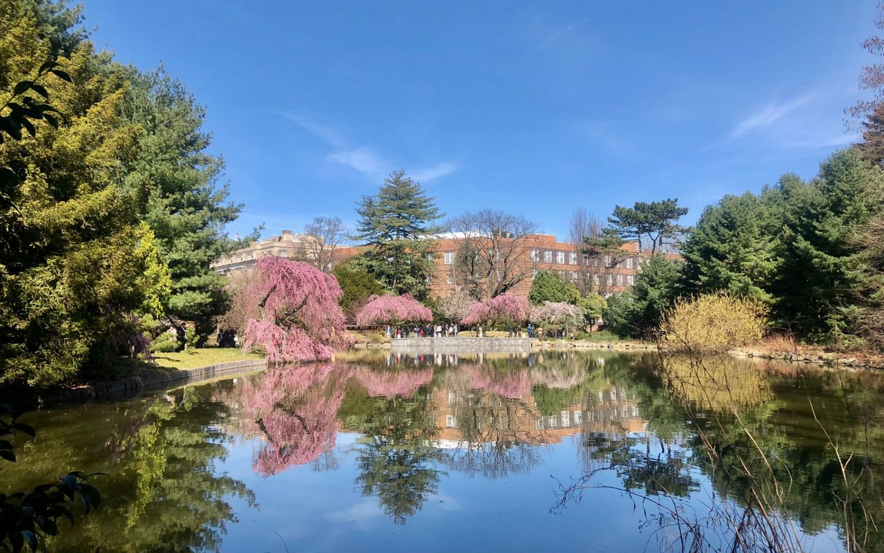 Everything You Need to Know About Moving to Park Slope