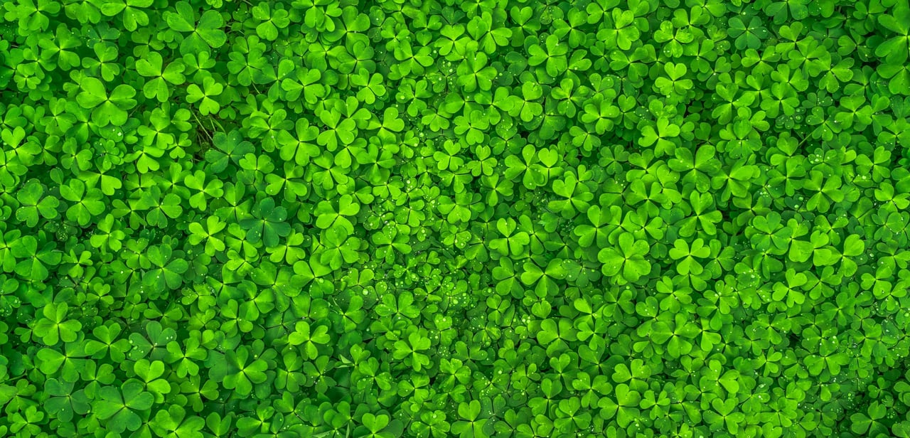 St. Patrick's Day Pub Crawl