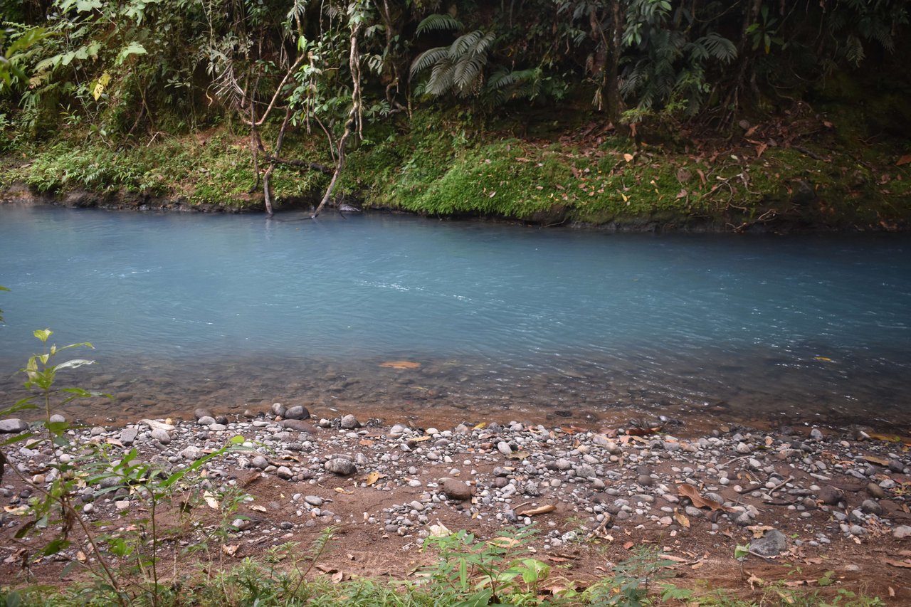 Villa Celeste Land | Embrace a unique 9-hectare Property along Rio Celeste