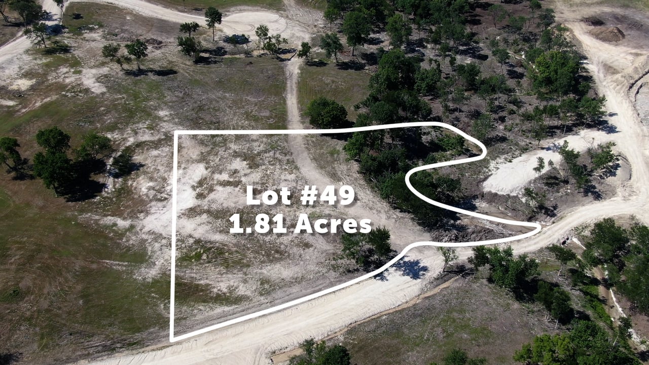 Lot 49