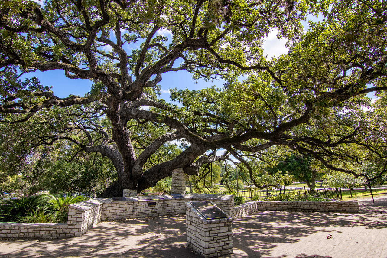 Havenwood at Hunter's Crossing