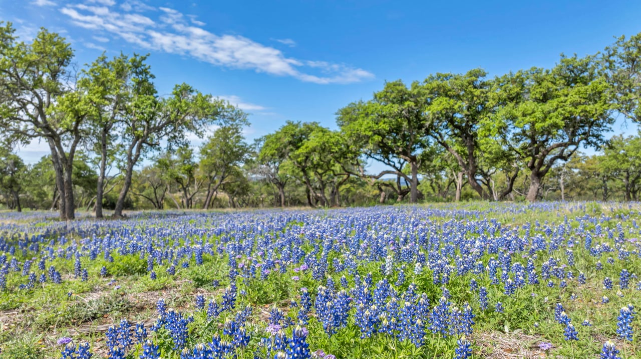 #145 Acre Ranch