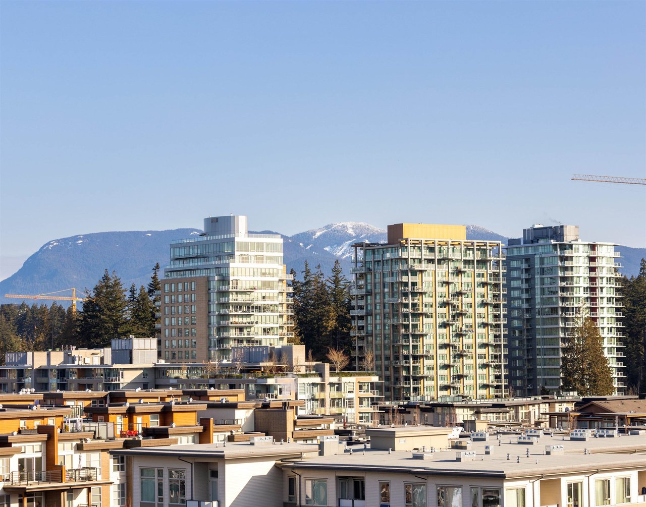 1106-3533 Ross Dr