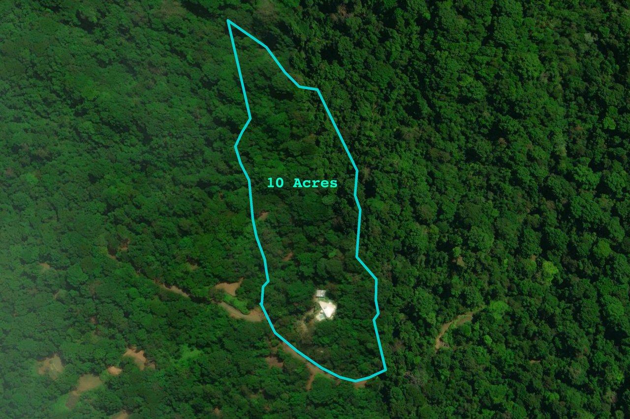 Modern Rainforest Estate, Manuel Antonio, Puntarenas