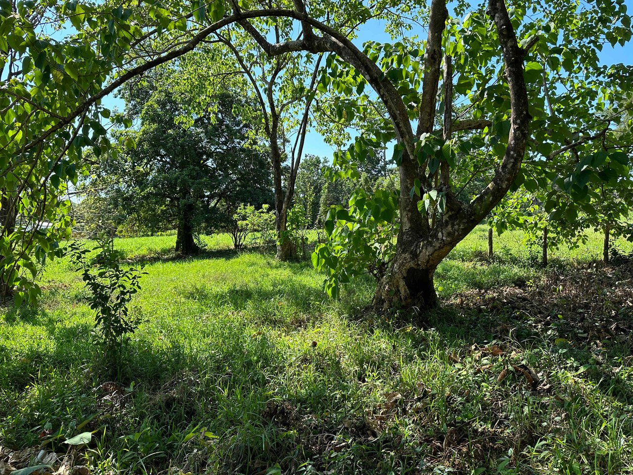 Over 3 Acres, Mountain View Lot in the Heart of Ojochal, Ready for Development!.