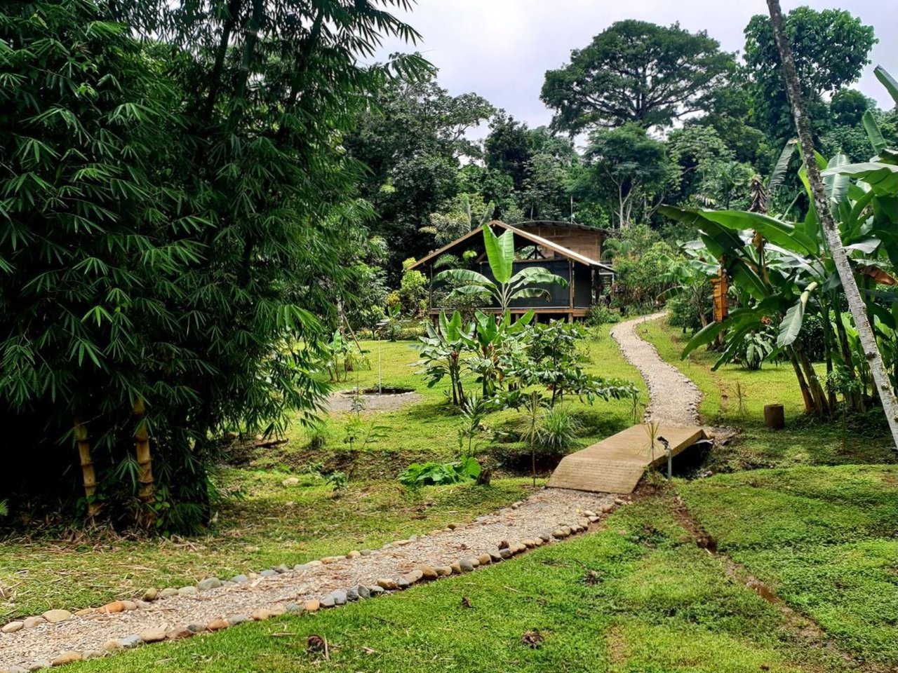 Mountain View Wellness Retreat, Perez Zeledon, San Jose