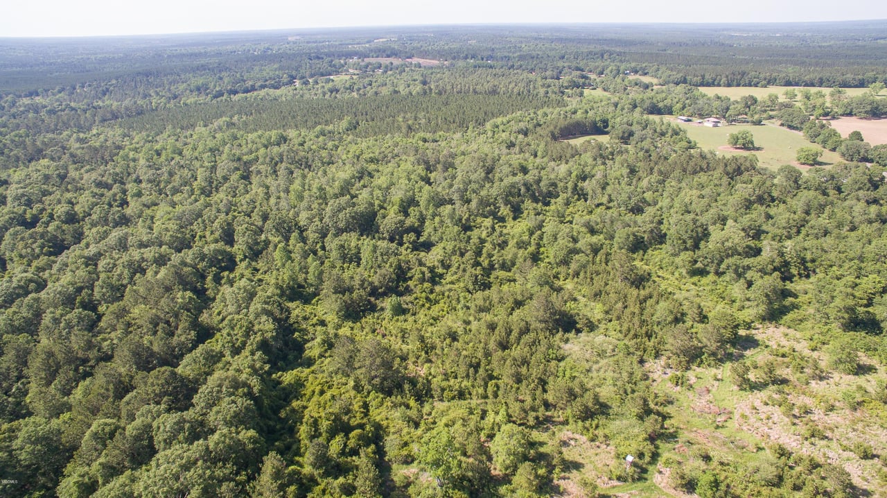 32331 Carey Smith Rd