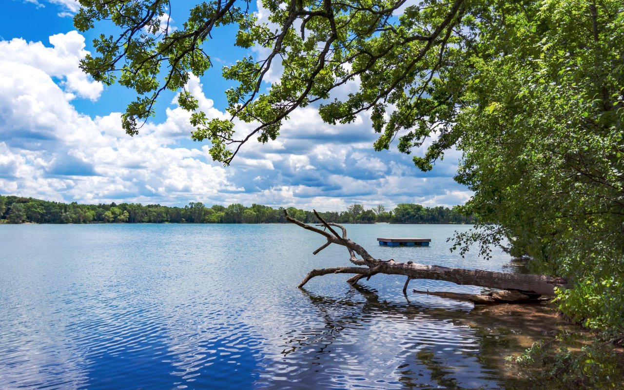 Browns Lake