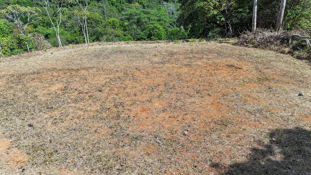 An elevated 1.2 acres lot with two plantels, panoramic mountain and jungle views.