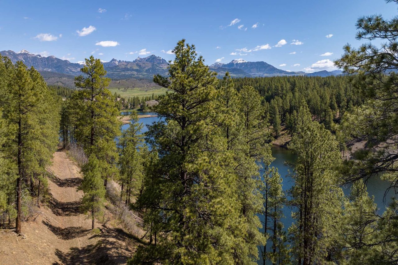 Watusi Ranch - Pagosa Springs, Colorado