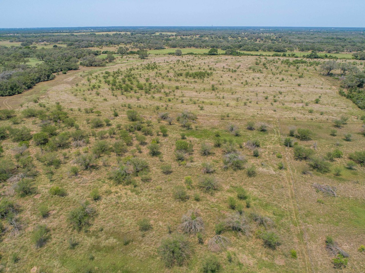 Green DeWitt Rd | 40.82± Acres | DeWitt County