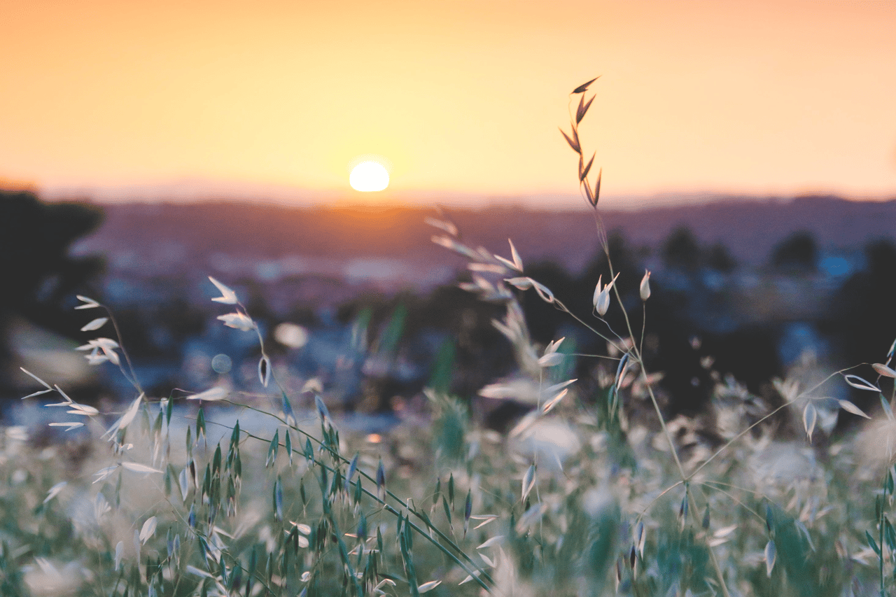 May 2020 Newsletter