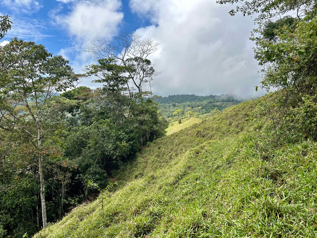 Hidden Gem: Serene Farm Retreat with Majestic Views in Costa Rica