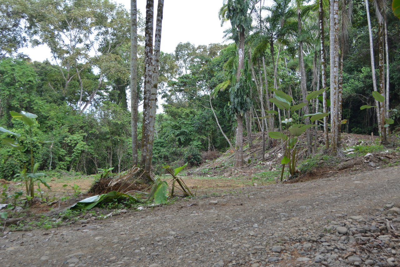 Lagunas 5 Lots 1 Acre+ Lagunas/Dominical