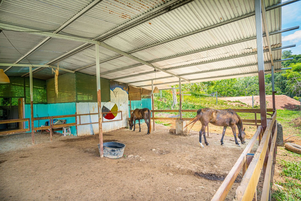 Hills of Portalon Building Site with Horse Stable, Portalon, Puntarenas