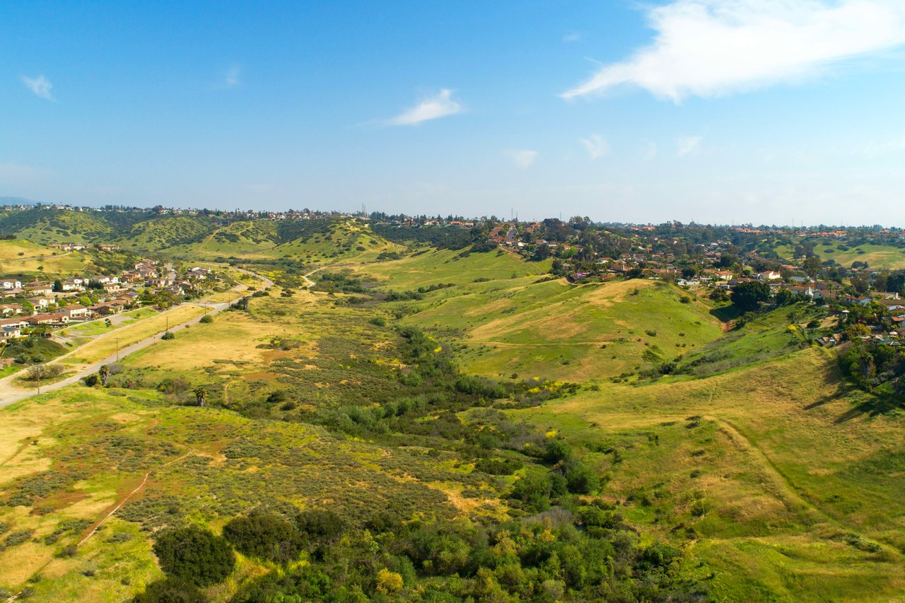 3502 Proctor Valley Road