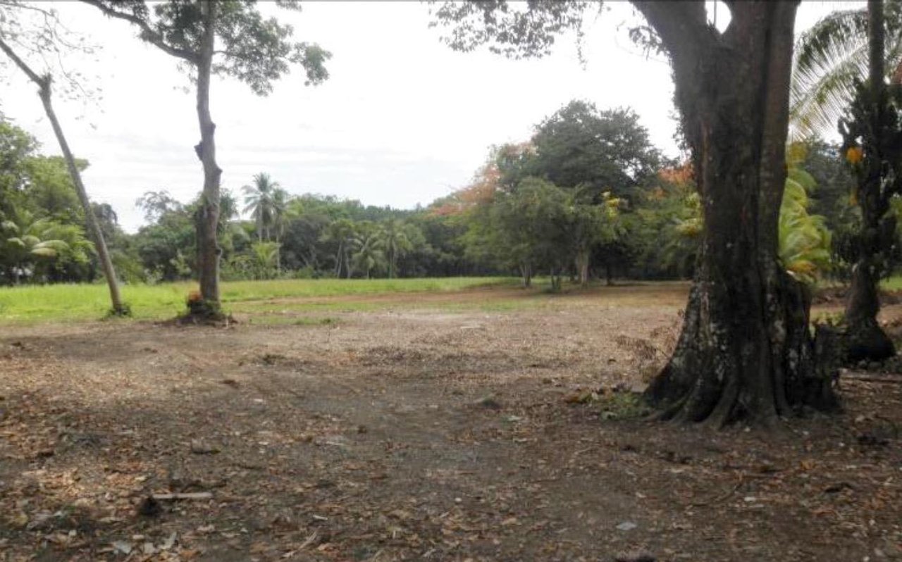 Quepos Commercial Property