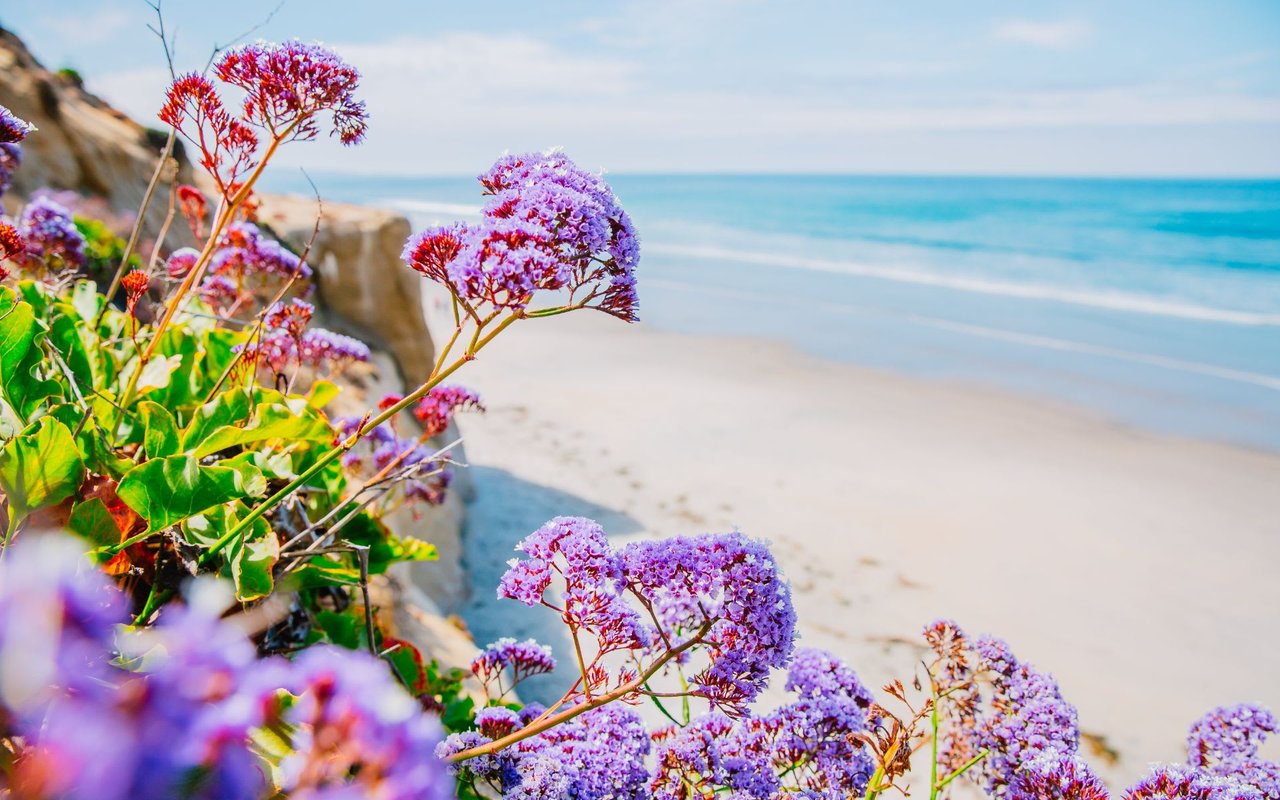 Encinitas