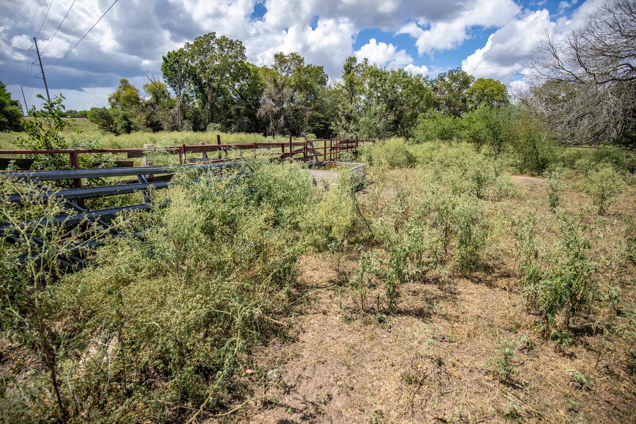 Lovers Lane River Ranch | 140± Acres | DeWitt County