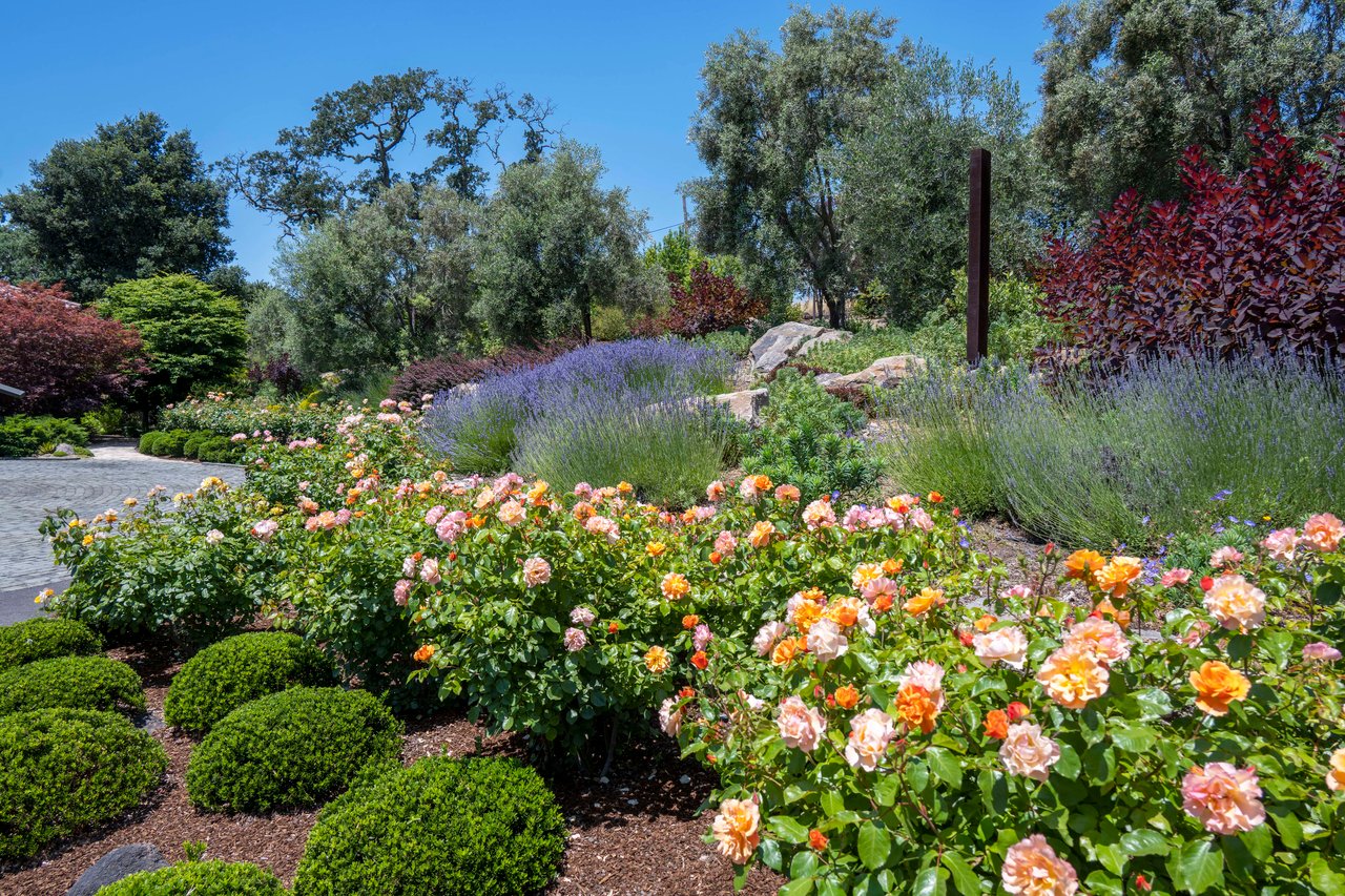 Stunning Napa Valley, Napa