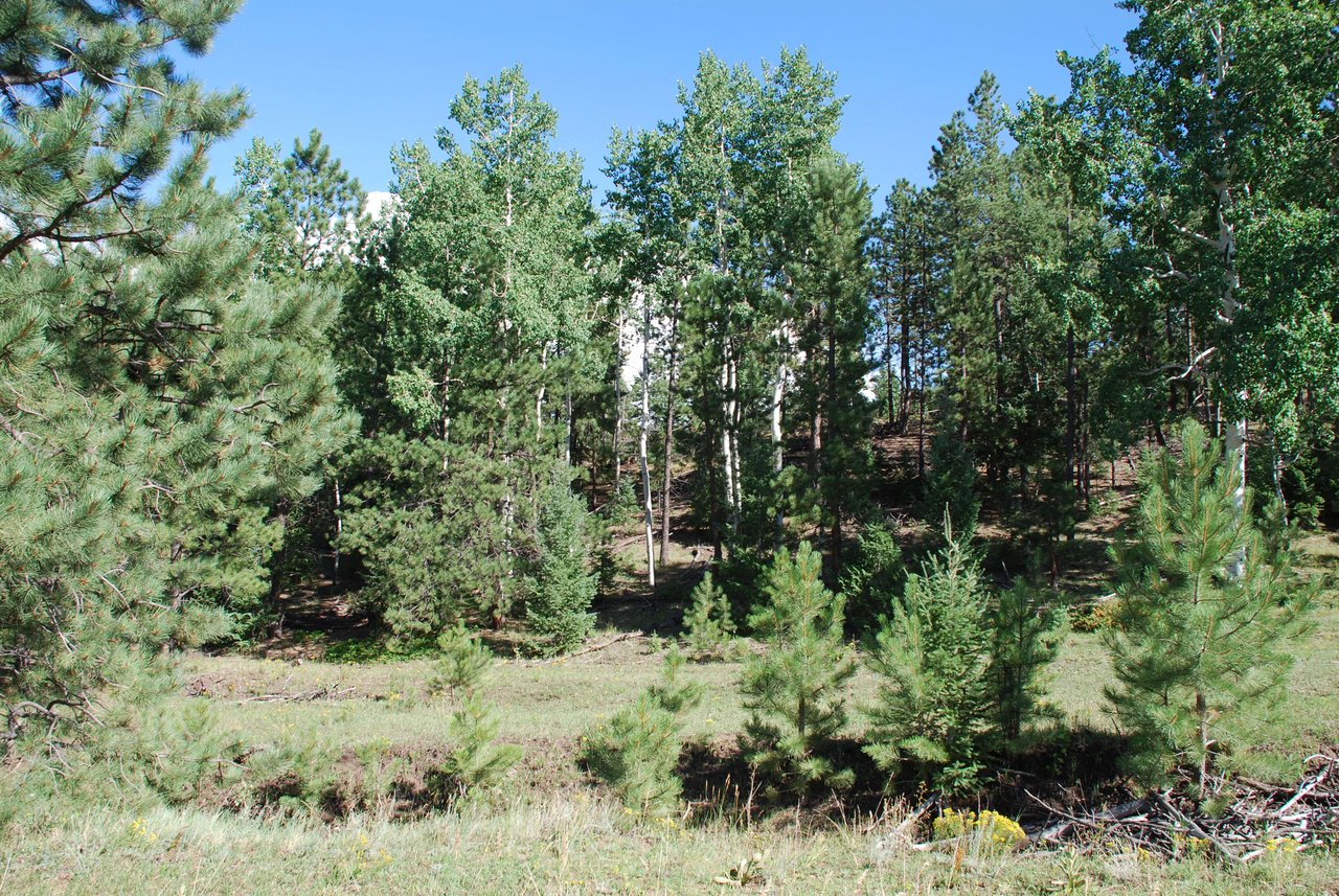 Elk Mountain Ranch