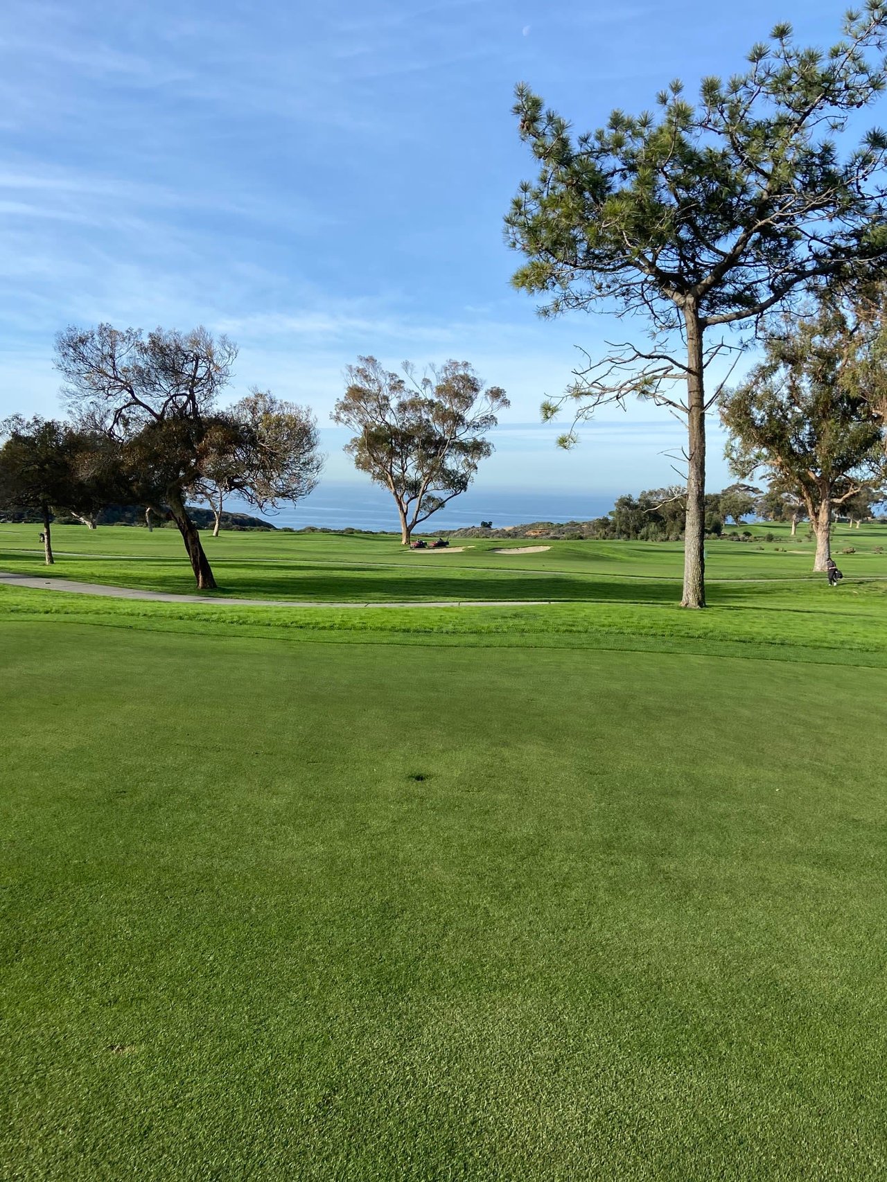 Torrey Pines Golf Course