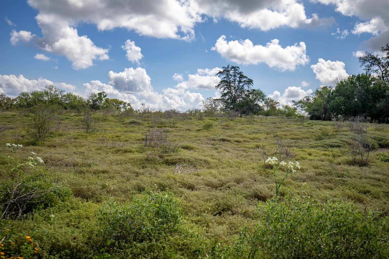 Lovers Lane River Ranch | 140± Acres | DeWitt County