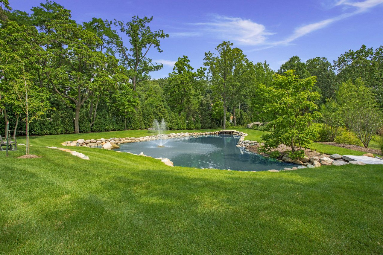 Pond Renovation