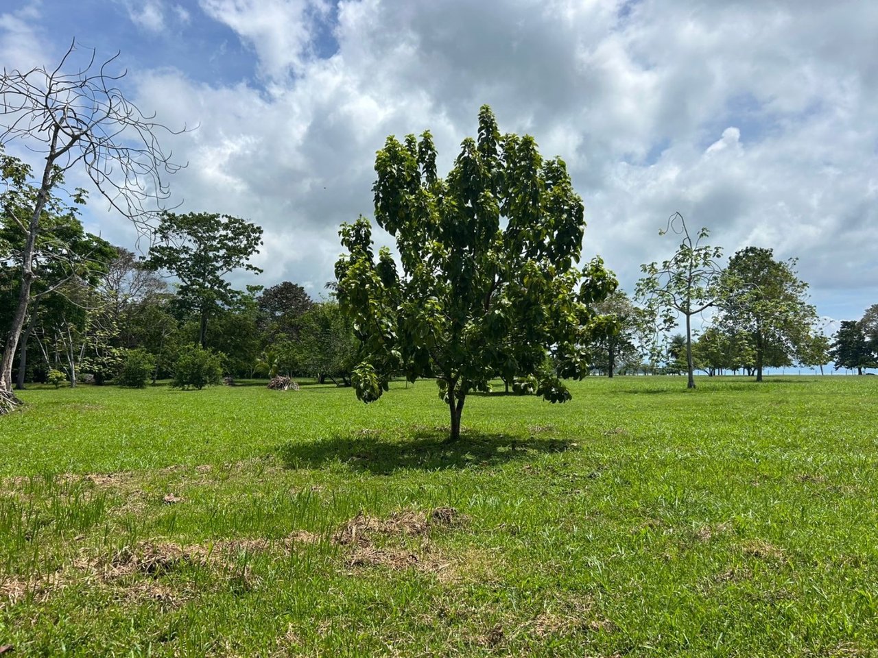 Titled Beachfront Development Land, Osa, Puntarenas