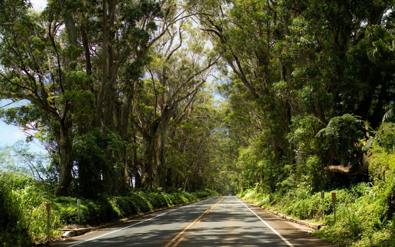 Kauai’s South Shore