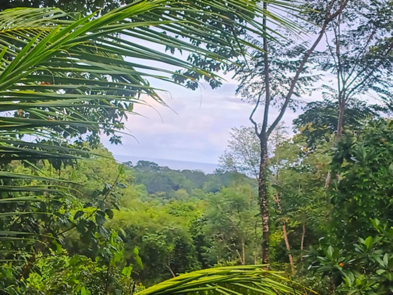 Multi Home Income Estate, Uvita, Puntarenas