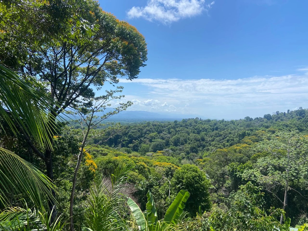 Gated Multi Unit Rental Estate, Manuel Antonio, Puntarenas