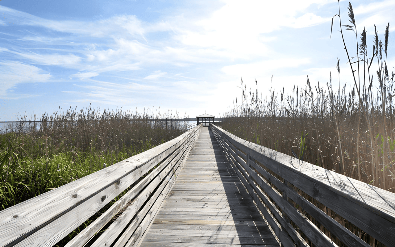 Build Side X Side Just North of Charleston in South Island Plantation