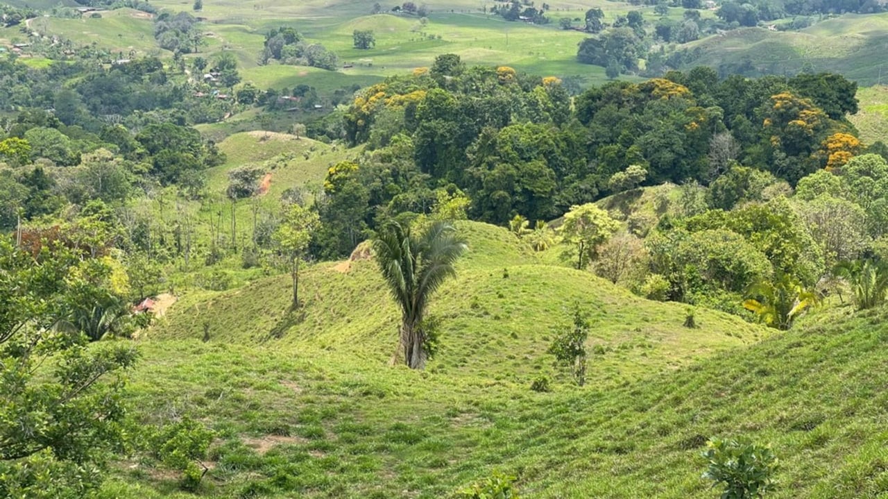 River Waterfall Farm Ranch, Perez Zeledon, San Jose
