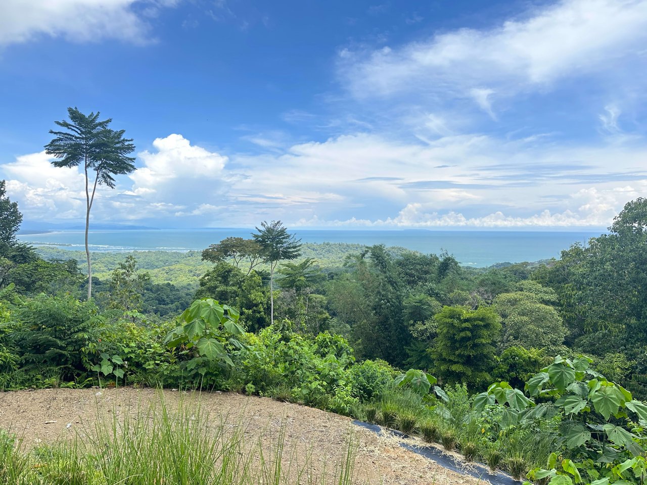 11.24 Acres With Two Stunning Ocean View Building Sites In Cinco Ventanas! Ojochal (Cinco Ventanas, Puntarenas, CR - 60504)