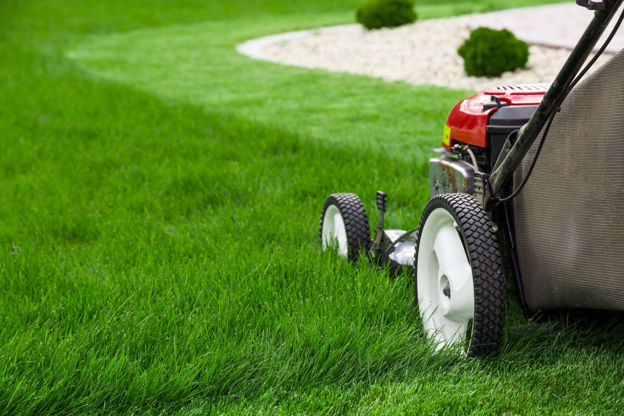 Get a Thicker, Greener Lawn with Scalping