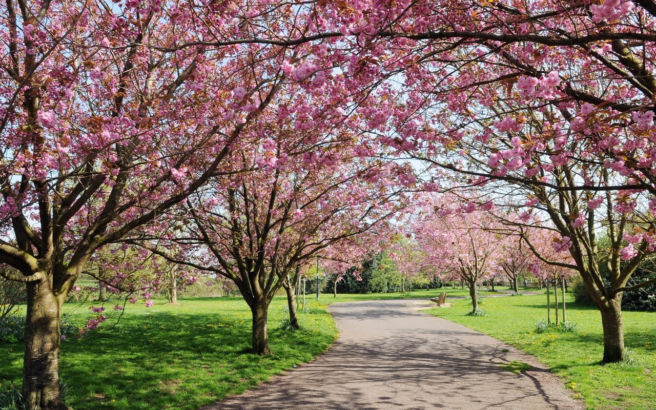 Chapel Hill - Orange County